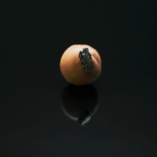 Afghani Black Raisin Truffle