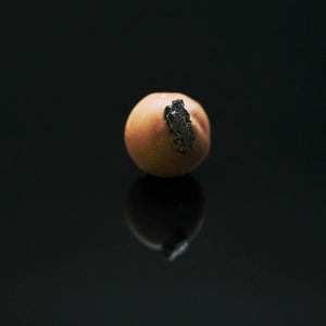 Afghani Black Raisin Truffle