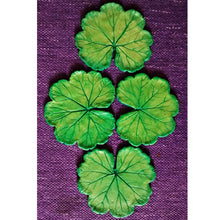 Hand Painted Leaf Coaster (Set of 4)