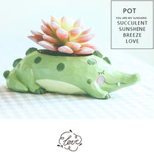Cute Crocodile Resin Succulent Pot