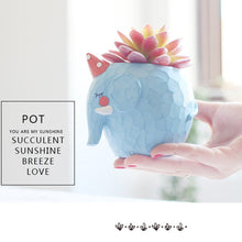 Cute Elephant Resin Succulent Pot