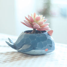 Cute Whale Resin Succulent Pot