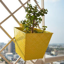 Embossed Square Yellow Railing Planters