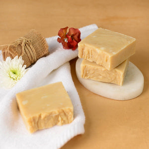Apple Cider Vinegar with Moroccan Clay Shampoo Bar