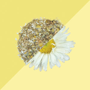 Camomile Flower Herb Tea